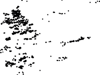 Pivôs Centrais 2020