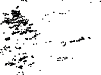 Pivôs Centrais 2019